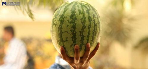 娱乐吃瓜为什么火爆  第3张